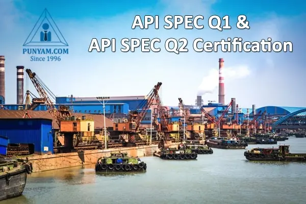 API Spec Q1 and Q2 Consultancy